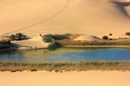 5 DAYS IN El Gilf El Kiber SAFARI DESERT | Cairo - Oasis - Alexandria 15 days